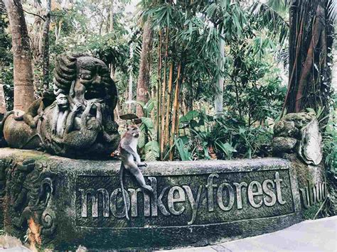 Ubud Monkey Forest - Bali.com