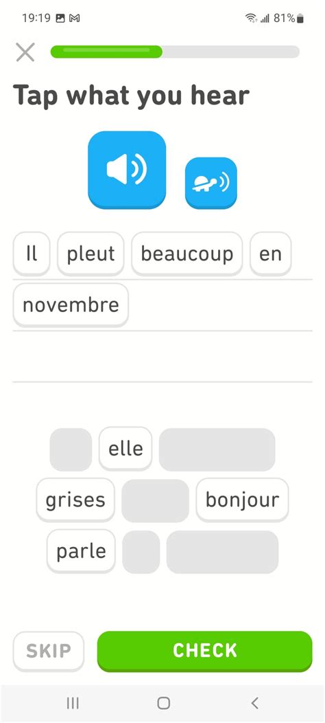 Duolingo French: Does it really work? Complete Review