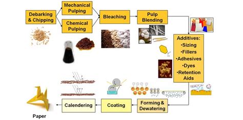 All You Need To Know About Paper Pulping | Paper Pulp Mill