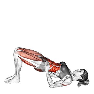 Shoulder Bridge - Guide, Benefits, and Form