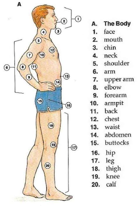 Pin on vocabulary