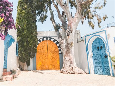 Sidi Bou Said Tunis: A Complete Guide - Tunisia Guru