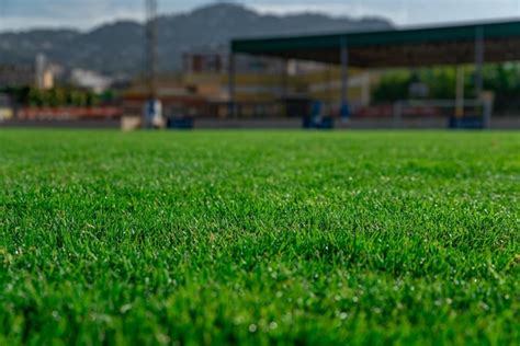 Gramado verde no campo de futebol | Foto Premium