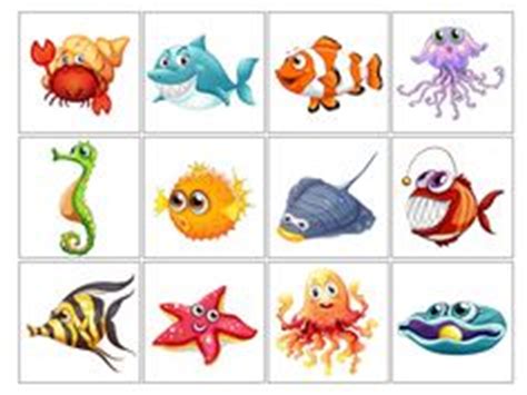 22 Best Los moluscos ideas | preschool, ocean crafts, preschool activities