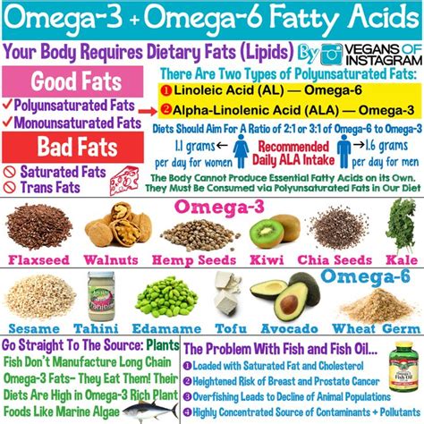 Fatty Acids: Foods High In Omega 6 Fatty Acids