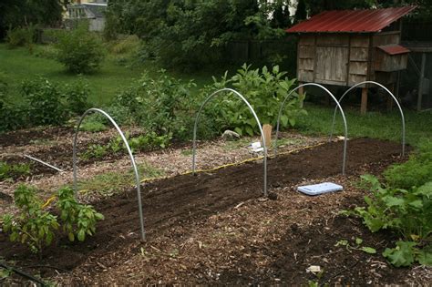 Whittled Down Life: Winter gardening: Low tunnels for the home garden