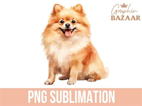 Watercolor Pomeranian PNG Boho Pom Dog Sublimation File Dog Mama PNG Watercolor Pomeranian Shirt ...