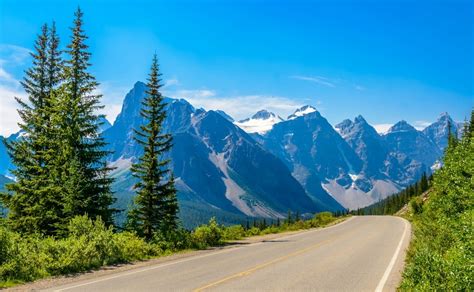 Running a car in Canada: from insurance to traffic lights - Canada Property Guide