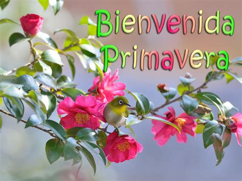 Mirando al mundo con sentimientos: Bienvenida Primavera