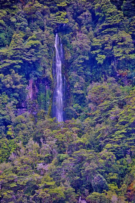 Dusky Sound, Fjordland National Park, South Island, New Ze… | Flickr