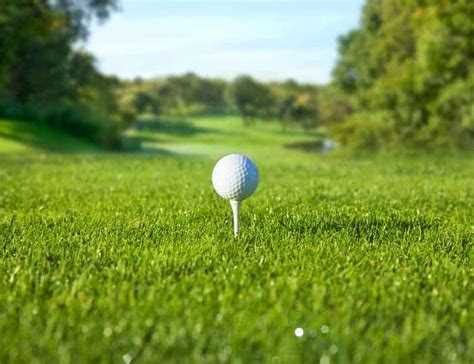 16 of the Best Golf Courses in Minnesota https://www.lifeinminnesota.com/best-golf-courses-in ...