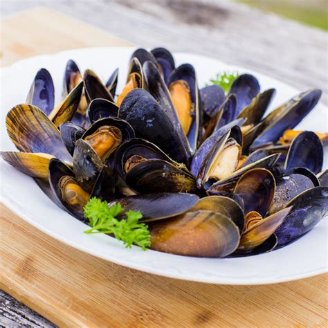 Frozen Mussels - Fresh Frozen North Atlantic Mussels - Sizzlefish