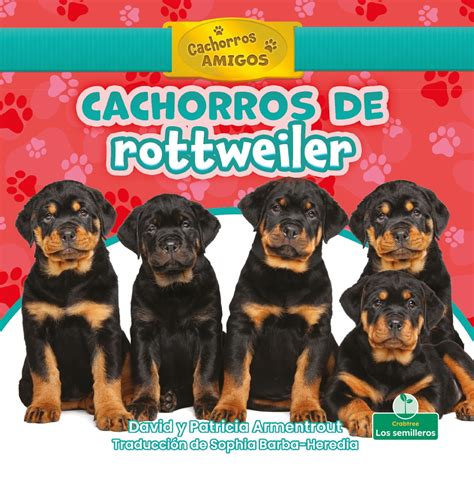 Cachorros de rottweiler (Rottweiler Puppies) eBook by David Armentrout - EPUB | Rakuten Kobo ...