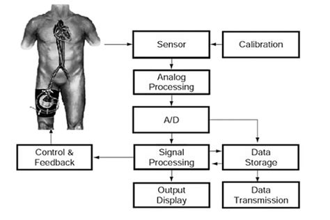 Beginner Guide to Biomedical Sensors – Robocraze