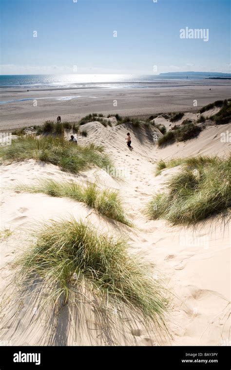 Sand dunes in Camber Sands, Kent, England, Europe Stock Photo - Alamy