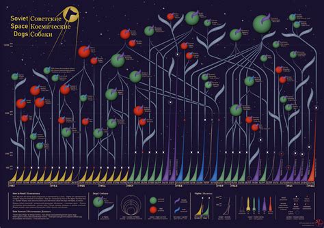 Discovering Data Visualisation: How I Discovered and Fell in Love with ...