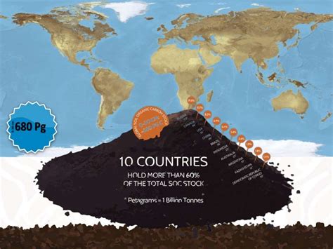 The Global Soil Organic Carbon map V1.0