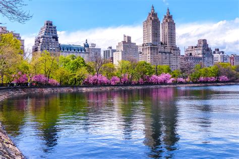 usa, Houses, Rivers, Flowering, Trees, Parks, New, York, City, Central, Park, Cities Wallpapers ...