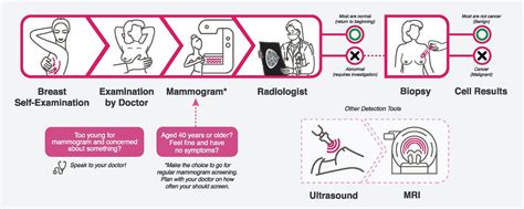 Breast cancer: know your screening and treatment options — Oncoshot