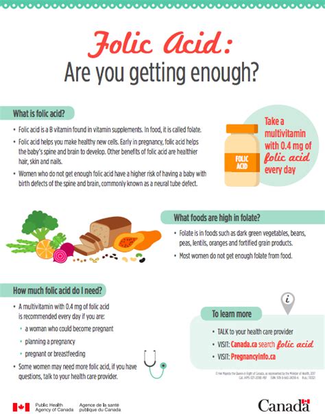 Folic acid awareness and pregnancy