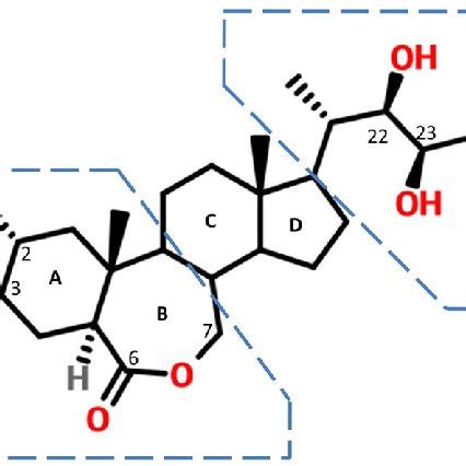 The chemical structure of brassinolide (BL) with the steroid rings... | Download Scientific Diagram