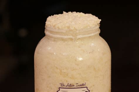 The Tale of the Disappearing Kefir Grains - Cultured Food Life