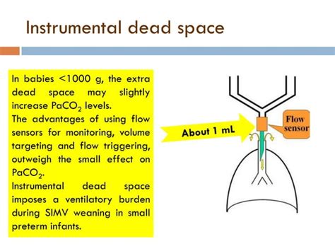 Basics of neonatal ventilation 1