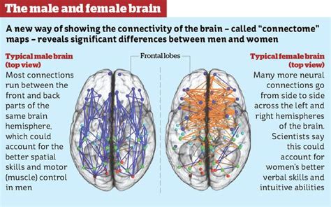 New Study: The hardwired ‘stark’ difference between male and female ...