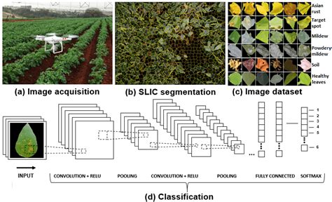 Proposal of a computer vision system to identify soybean leaf diseases ...