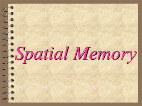 PPT - Spatial Memory PowerPoint Presentation, free download - ID:1335647