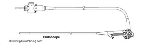 Gastroenterology Education and CPD for trainees and specialists » Know your endoscope