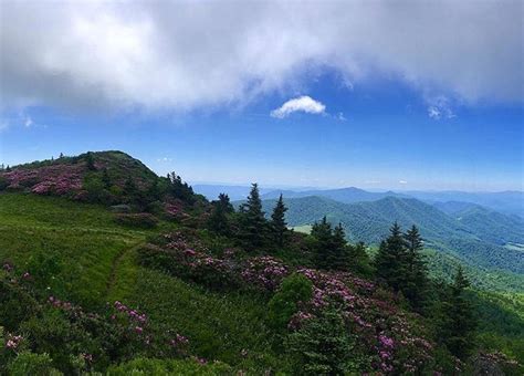 Roan Mountain is a hidden gem of small towns! Plus great hiking in the ...