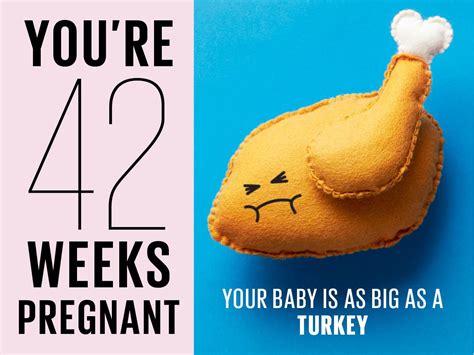 42 weeks pregnant | Symptoms, tips and more | Today's Parent