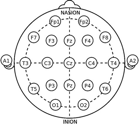 | The 10-20 International system of EEG electrode placement. | Download Scientific Diagram