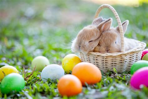 Ten Easter Traditions . . . That Can Be Done at Home - 96.5 KOIT