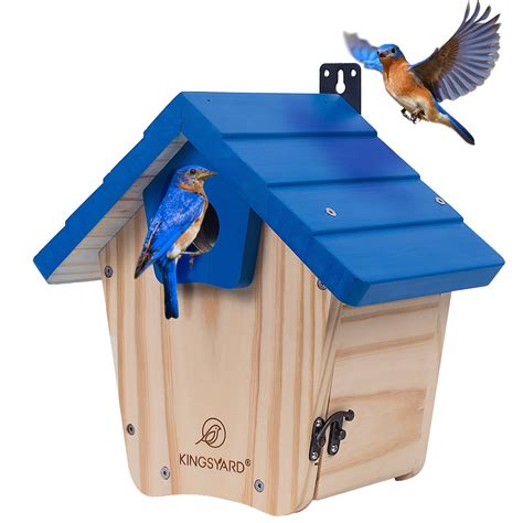 10 Best Jay Bird Houses for Your Garden - Hummingbirds Plus