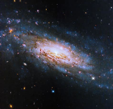 NASA Hubble Space Telescope Dives Into a Spiral Galaxy with Voracious ...