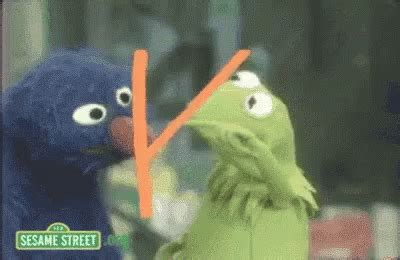 Sesame Street Grover GIF - SesameStreet Grover Kermit - Discover ...