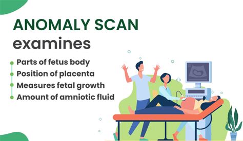 NT scan vs Anomaly scan: Unraveling the Ultimate Comparison Guide in 2023