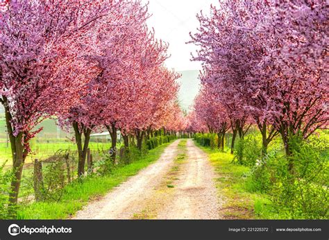 Springtime Landscape Sunny Day — Stock Photo © somra.stefan@gmail.com ...