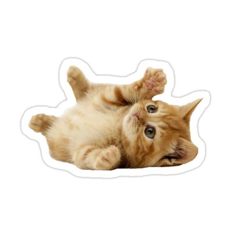 "Cat" Stickers by thedreamerswin | Redbubble