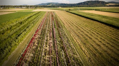 How Crop Diversity Will Help Strengthen Food System Resilience - Giving Compass