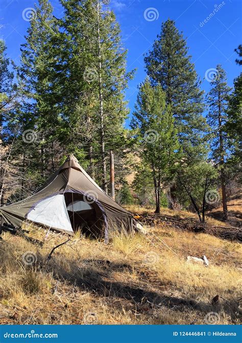 Camp Tent Set Up in Sawtooth Mountain Range, Idaho, USA Stock Image - Image of back, idaho ...