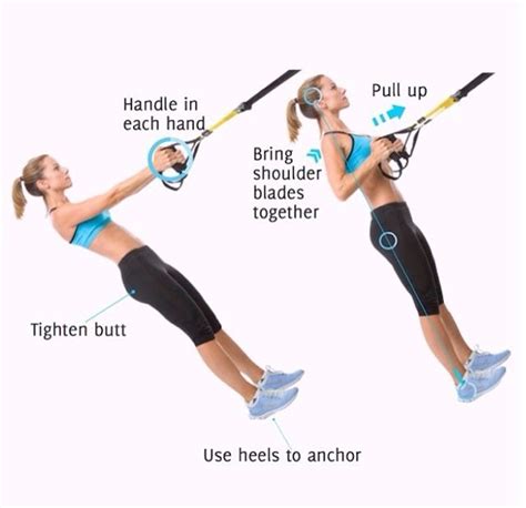 TRX Rows | Trx yoga, Workout routines for beginners, Trx