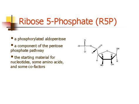 Ribose 5 Phosphate A Molecule for the AGEs