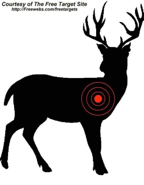 Pin by Danielle's Taste Bud Ticklers on Cakes - Hunting | Deer targets, Bow hunting, Deer silhouette