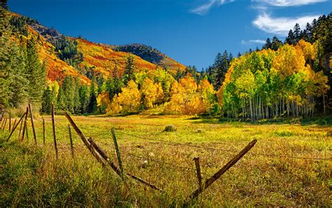 Photographs of San Juan Mountain Fall Landscapes