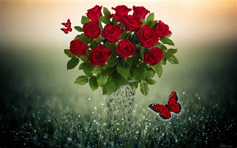 Roses And Butterfly Wallpapers - Wallpaper Cave