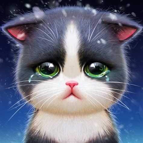 Kitten Match - Apps on Google Play