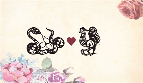 Snake Man Rooster Woman Long-Term Compatibility